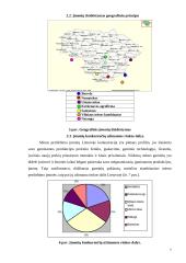 Kainodaros strategija:  ŽŪB "Nematekas" 8 puslapis