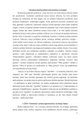 Kainodaros strategija:  ŽŪB "Nematekas" 9 puslapis