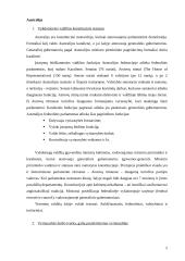 Kanados ir Australijos administravimo sistemų  lyginamoji analizė 2 puslapis