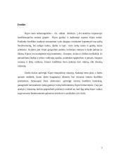 Kipro etnopolitinės situacijos analizė 2 puslapis