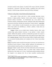 Kipro etnopolitinės situacijos analizė 5 puslapis