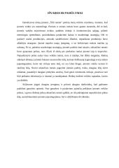 Kompiuterinis modeliavimas: "Šilti namai" 10 puslapis