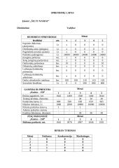 Kompiuterinis modeliavimas: "Šilti namai" 15 puslapis