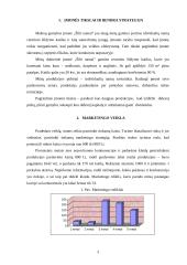 Kompiuterinis modeliavimas: "Šilti namai" 2 puslapis