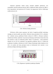 Kompiuterinis modeliavimas: "Šilti namai" 3 puslapis