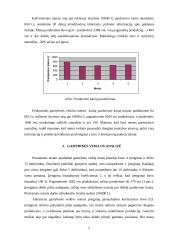 Kompiuterinis modeliavimas: "Šilti namai" 4 puslapis