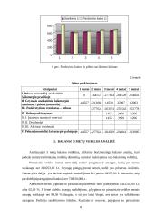 Kompiuterinis modeliavimas: "Šilti namai" 7 puslapis