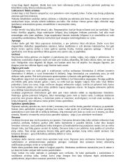 Lenkų dalykinio bendravimo ypatumai 2 puslapis