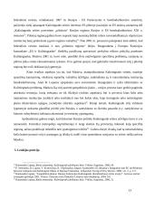 Lietuva ir Kaliningrado sritis: ar tikrai kebli problema virto Lietuvos privalumu? 13 puslapis