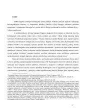 Lietuva ir Kaliningrado sritis: ar tikrai kebli problema virto Lietuvos privalumu? 3 puslapis