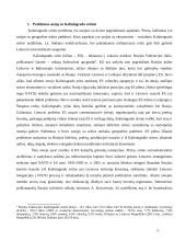 Lietuva ir Kaliningrado sritis: ar tikrai kebli problema virto Lietuvos privalumu? 5 puslapis