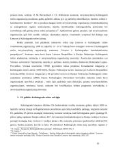 Lietuva ir Kaliningrado sritis: ar tikrai kebli problema virto Lietuvos privalumu? 10 puslapis