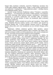 Lietuvių literatūra - kūrinių apžvalgos 2 puslapis