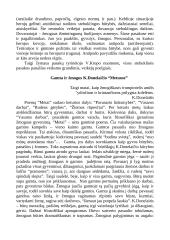 Lietuvių literatūra - kūrinių apžvalgos 18 puslapis