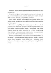 Lietuvos regioninio identiteto problema 19 puslapis