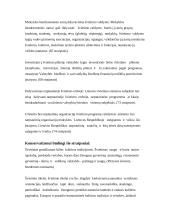 Lietuvos Respublikos (LR) Švietimo įstatymo analizė 5 puslapis