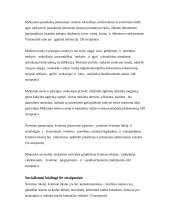 Lietuvos Respublikos (LR) Švietimo įstatymo analizė 7 puslapis