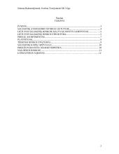 Lietuvos saldainių rinkos dalyvių analizė 2 puslapis