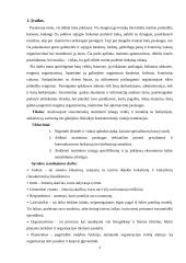 Nedidelių barų veikla Jonavoje