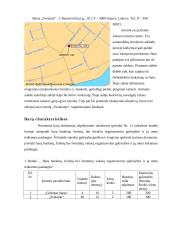 Nedidelių barų veikla Jonavoje 6 puslapis