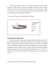 Nedidelių barų veikla Jonavoje 9 puslapis