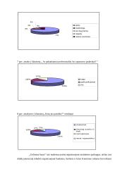 Nedidelių barų veikla Jonavoje 10 puslapis