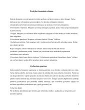 Nelegali migracija: prekyba žmonėmis 5 puslapis