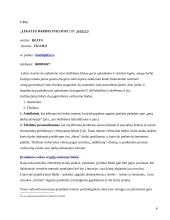 Nelegali migracija: prekyba žmonėmis 6 puslapis