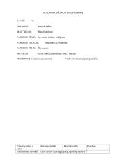 Lietuvių kalbos pamokos analizė 2 puslapis