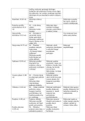 Lietuvių kalbos pamokos analizė 3 puslapis