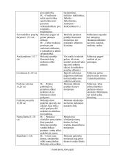 Lietuvių kalbos pamokos analizė 4 puslapis