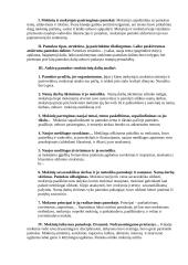 Lietuvių kalbos pamokos analizė 5 puslapis