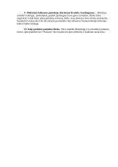 Lietuvių kalbos pamokos analizė 6 puslapis