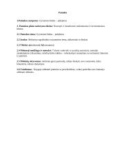 Lietuvių kalbos pamokos analizė 7 puslapis