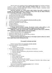 Personalo vertinimo sistema: UAB "Transekspedicija" 4 puslapis