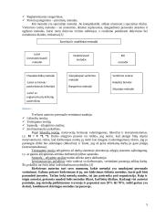 Personalo vertinimo sistema: UAB "Transekspedicija" 5 puslapis