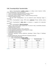 Personalo vertinimo sistema: UAB "Transekspedicija" 6 puslapis