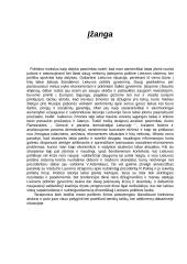 Politikos mokslai 2 puslapis