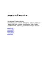 Politikos mokslai 8 puslapis