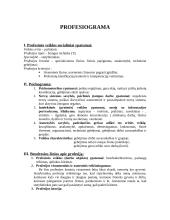 Profesiograma: statybininkas