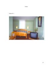 Rekreacinės įstaigos analizė: Kretingo miestos rekreacinė įstaiga "Smagratis" 9 puslapis