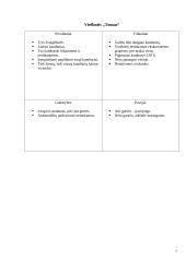 Rekreacinių ir turizmo išteklių analizavimo praktika 7 puslapis