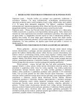 Rekreacinių ir turizmo išteklių analizavimo praktika: "Turizmo informacijos centras" 7 puslapis