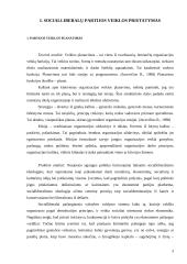 Rinkimų štabo veiklos organizavimas 3 puslapis