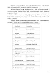 Rinkimų štabo veiklos organizavimas 5 puslapis