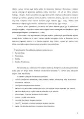 Rinkimų štabo veiklos organizavimas 9 puslapis