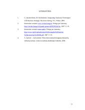 Straipsnio analizė: "Analitinių metodų integravimas verslo strateginiams sprendimams priimti" 11 puslapis