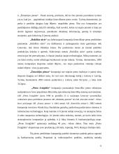 Straipsnio analizė: "Analitinių metodų integravimas verslo strateginiams sprendimams priimti" 6 puslapis