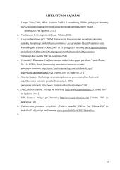 Straipsnio analizė: "Verslo strateginių sprendimų pasirinkimo pagrindimas" 10 puslapis