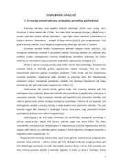 Straipsnio analizė: "Verslo strateginių sprendimų pasirinkimo pagrindimas" 3 puslapis